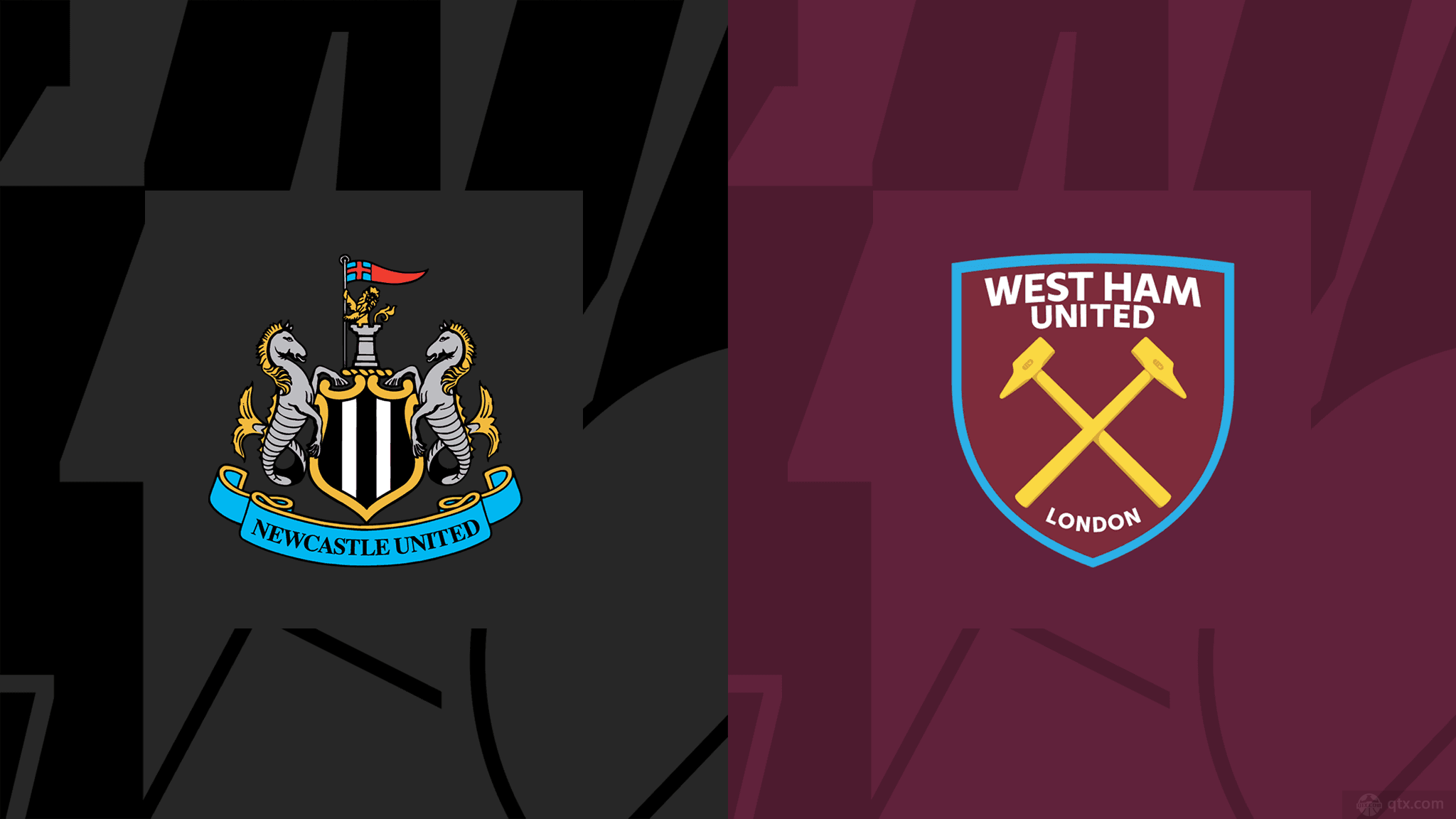 我们将详细 我们将详细